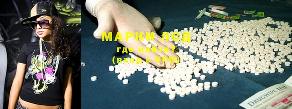 PSILOCYBIN Алзамай